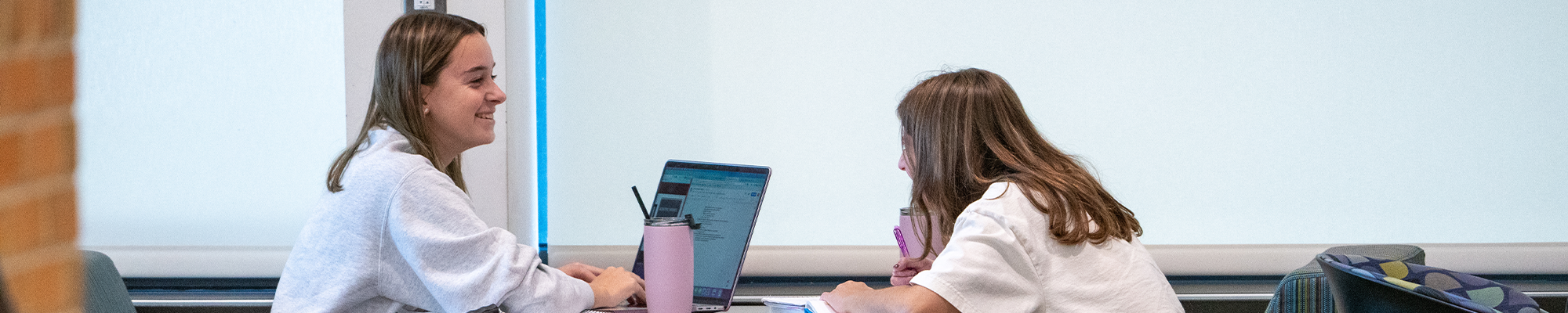 Two students studying